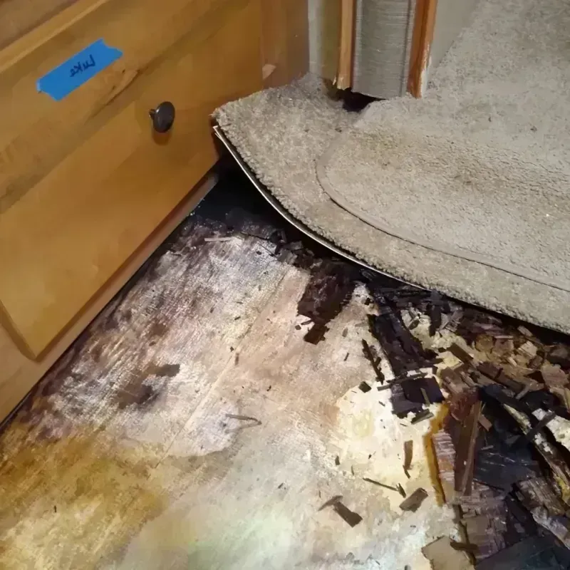 Wood Floor Water Damage in Corunna, MI